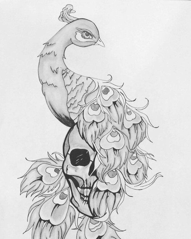 ƷΣȸָ