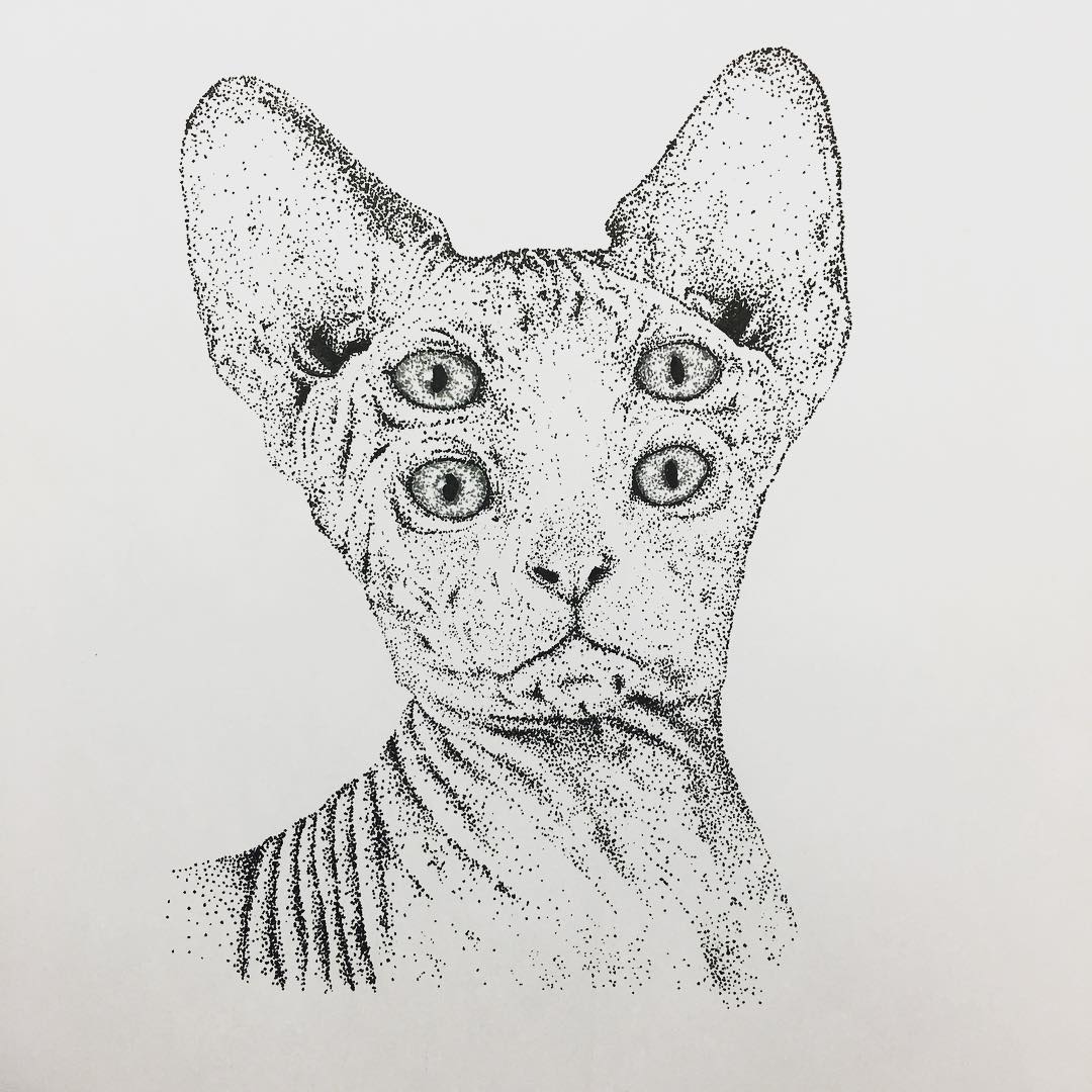 Ʊ˹ҿ˹èָ